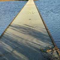 De Biesbosch National Park