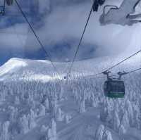 雪季雪國🇯🇵日本藏王限定樹冰