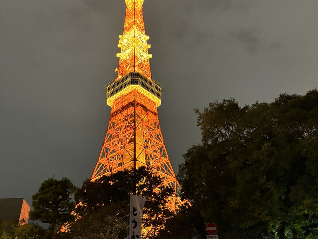 見係你哋，我先分享的東京一日行程！