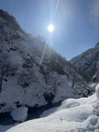 The Most beautiful and photogenic snowy landscape in Japan