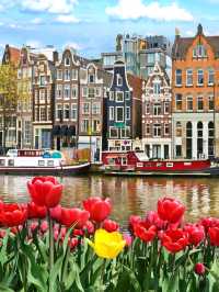 "Amsterdam: A City of Canals, Culture, and Charm"