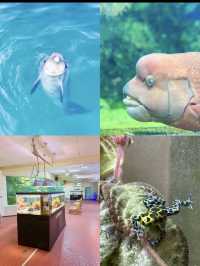 【静岡旅】富士宮〜沼津おすすめスポット12選