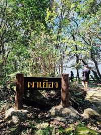 ใบเมเปิ้ลแดง อุทยานแห่งชาติภูหลวง ฟีลญี่ปุ่นนะ