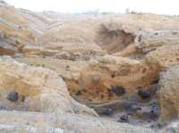 Amazing cave in Ly Son island