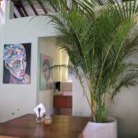 A splendid resort with a brilliant coffee bar