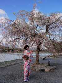 京都嵐山渡月橋—和服👘初體驗