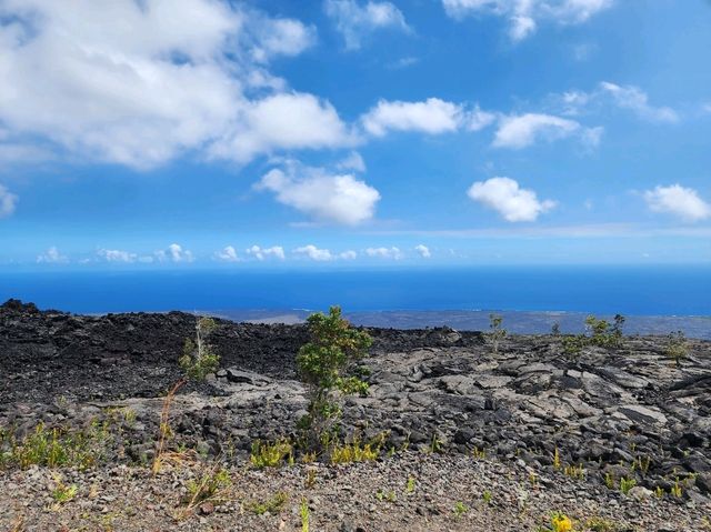 ハワイ島の壮大な火山ドライブ！チェーン・オブ・クレーターズ・ロードとホーレイシーアーチの絶景を巡る