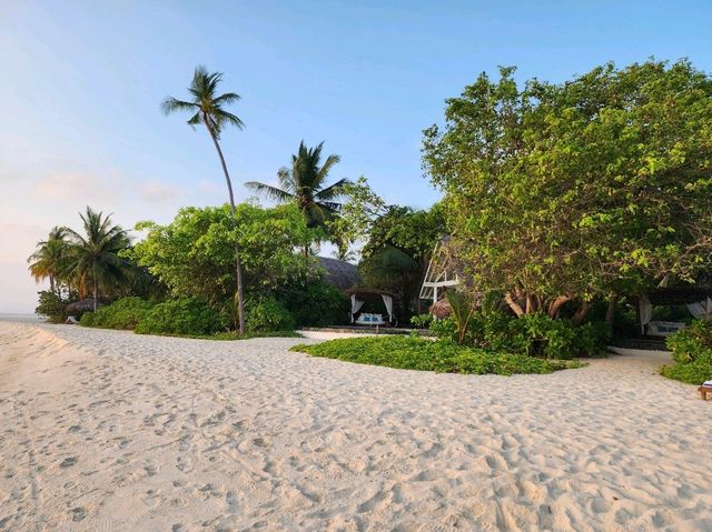 [🇲🇻モルディブ] ワンランク上の贅沢、Milaidhoo Maldivesのビーチフロントヴィラ
