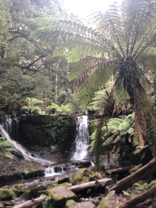 Tasmania Explorer