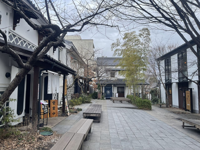 แนะนำโรงแรม Tokyu Rei Hotel Nagano ในนากาโนะ 