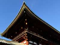 Grand mystical and aesthetic gates 