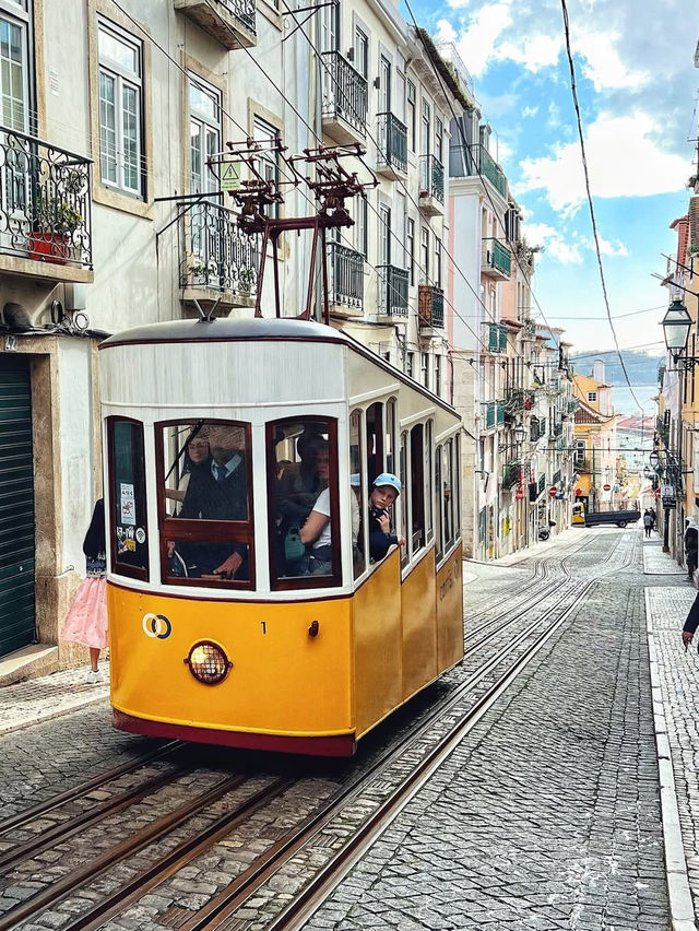 Springtime in Lisbon🌷
