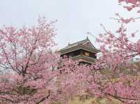 Chasing Sakura at Ueda Castle Ruins Park