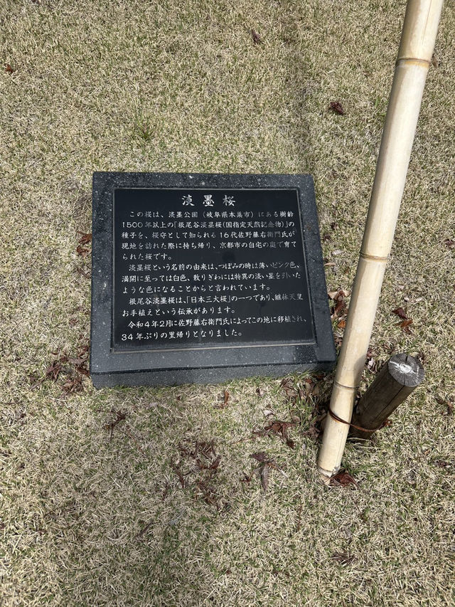 岐阜市🇯🇵 ぎふ結のもり