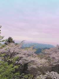 Spring Trekking at Mt. Takao: A Flower-Filled Adventure🌸