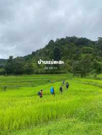 14 พิกัดเที่ยวเชียงใหม่ 🏡⛰️🌦️🌿
