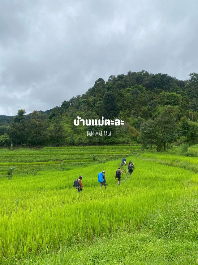 14 พิกัดเที่ยวเชียงใหม่ 🏡⛰️🌦️🌿