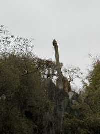 Kunming Zoo จุดชมดอกไม้บาน