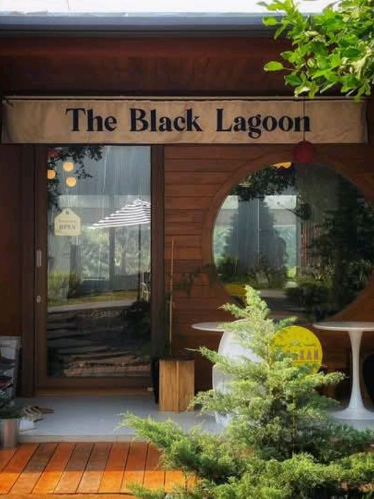  THE BLACK LAGOON