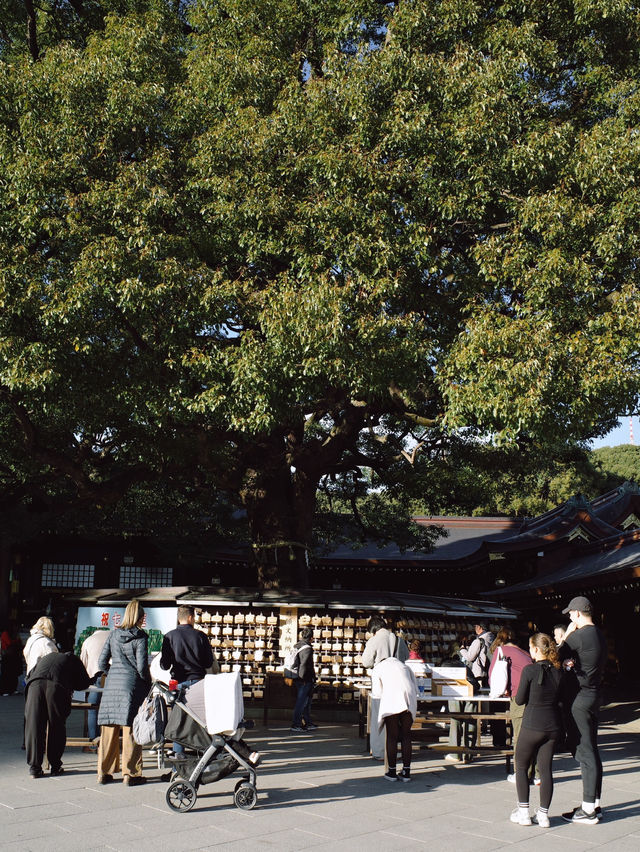 Meiji Shrine ศาลเจ้าแห่งความสงบใจกลางโตเกียว