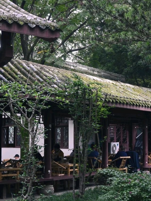 Tea-house In Chengdu