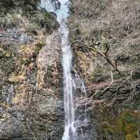 Minoo Park – "A Hidden Cherry Blossom Trail Near Osaka"