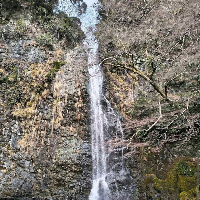 Minoo Park – "A Hidden Cherry Blossom Trail Near Osaka"