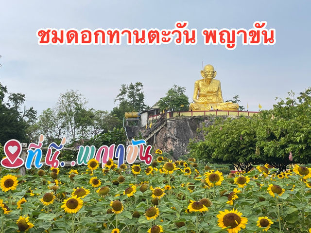 ชมดอกทานตะวัน ไหว้รูปเหมือนหลวงพ่อหมุน ตำบลพญาขัน