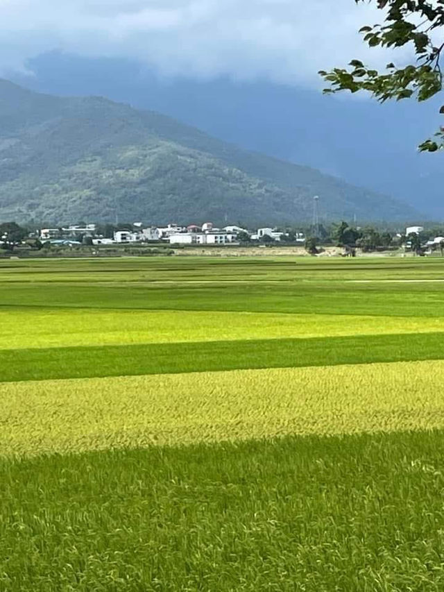 伯朗大道 台東