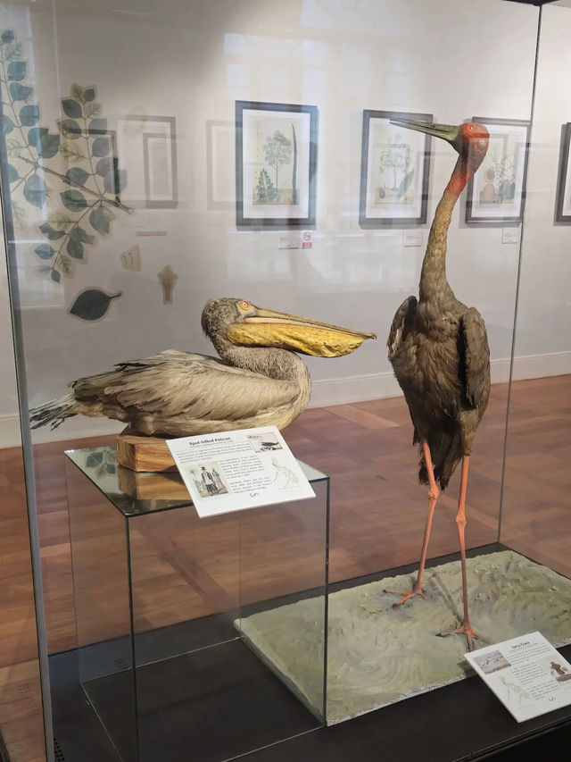 The natural history museum 