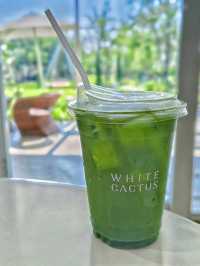 ร้าน WHITE CACTUS