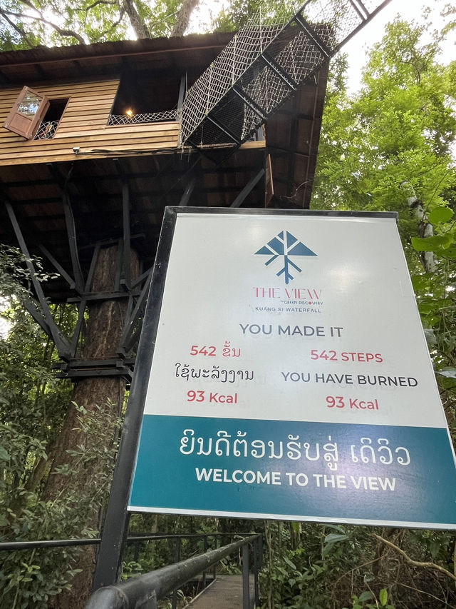 【クアンシーの滝】 🇱🇦 濁流編💦