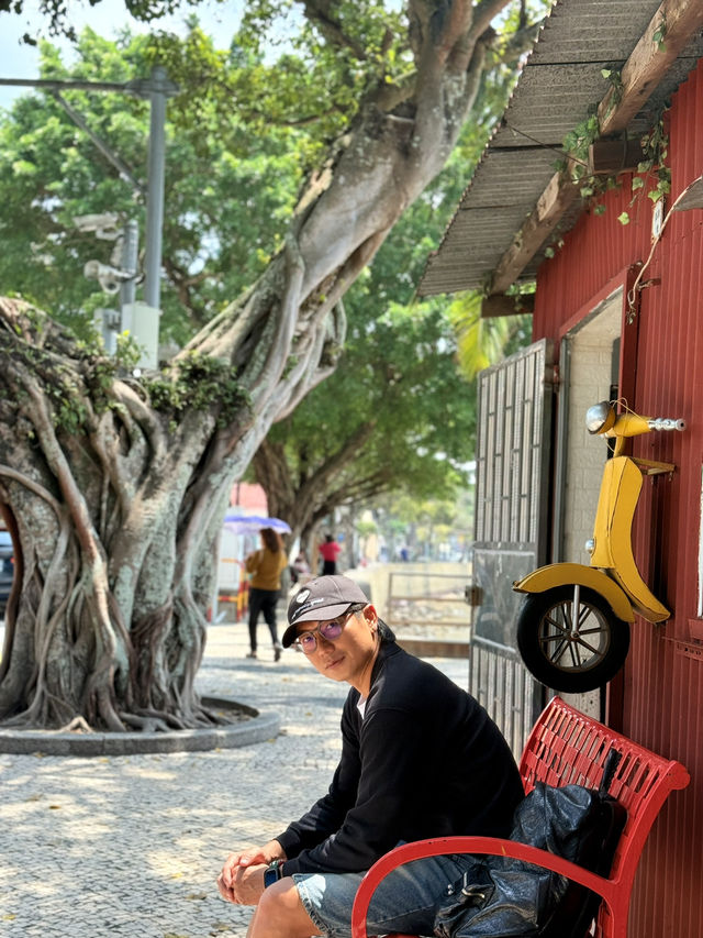 澳門路環街拍