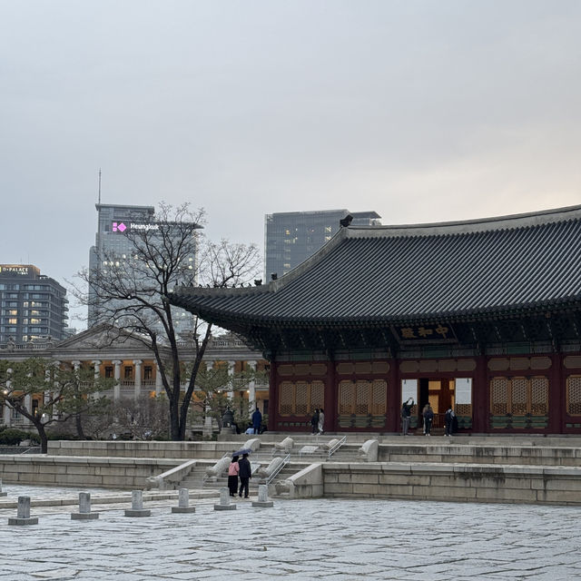 서울 벚꽃 명소 덕수궁 석조전