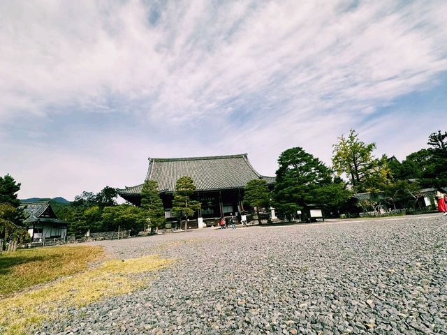 日本京都著名景點：清涼寺，適合打卡拍照📸