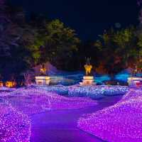 เที่ยวงานไฟสุดยิ่งใหญ่ ไม่คิดว่าจะสวยขนาดนี้ 🤍🌷✨