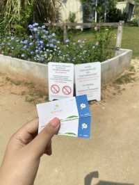 1 Day trip เขาใหญ่  