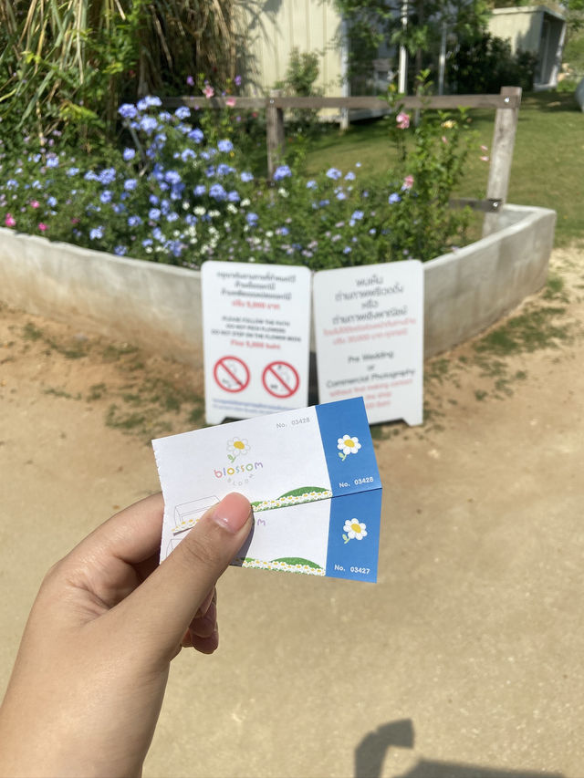 1 Day trip เขาใหญ่  