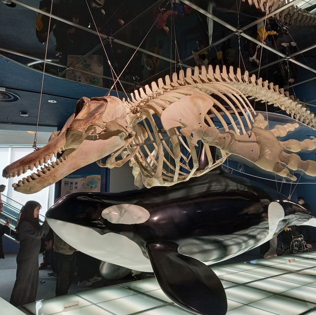 名古屋港水族館：海洋奇觀之旅 🐬