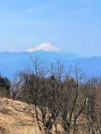 【陣馬山】日帰り登山にオススメな陣馬山⛰️