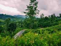 斯里蘭卡Nuwara Eliya 旅行攻略，適合打卡拍照📸
