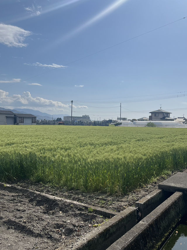 日本四國