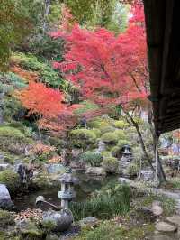 【木曽福島・興禅寺の紅葉で感じる秋の静寂】