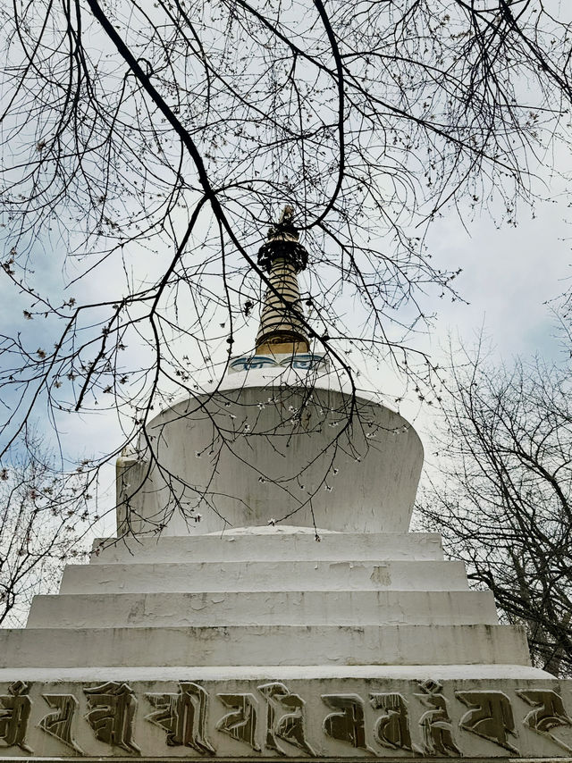 西藏正念之旅 
