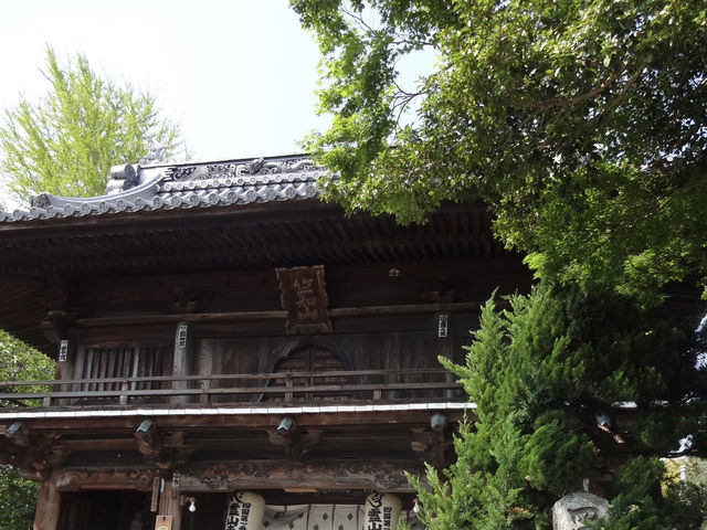 第1番札所 霊山寺と名物天ぷらうどんで四国霊場巡りの旅をスタート！