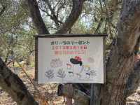 【小豆島】　見どころ満載　小豆島を巡る