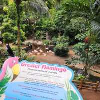 Sunway Lagoon Theme Park
