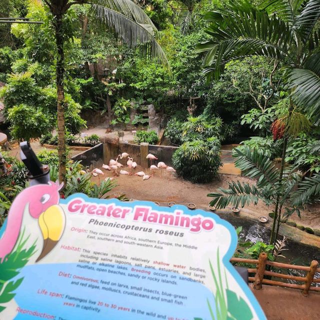 Sunway Lagoon Theme Park