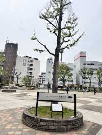 【枚方市】駅すぐ立地最高の広々公園！