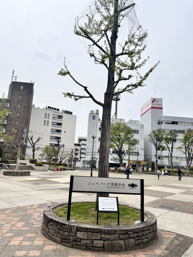 【枚方市】駅すぐ立地最高の広々公園！